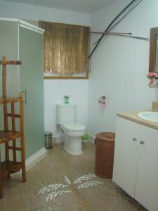 a bathroom with a toilet and a sink at Les Cottages de Bellevue Ecolodge in Port Vila