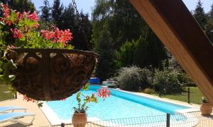 a flower pot hanging over a swimming pool at Le Clos Lamy in Mont-près-Chambord