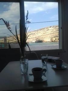 Príroda v okolí apartmánu