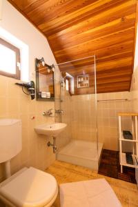 Koupelna v ubytování House Franja + 23 fotografií