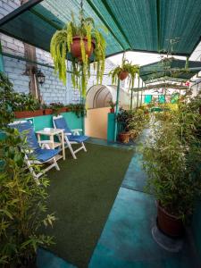 a greenhouse with chairs and potted plants in it at Mama Backpackers in Lima