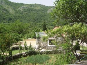 a stone house in the middle of a forest at Konoba in Cetinje