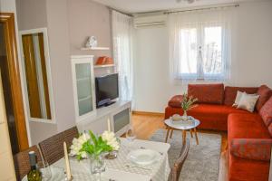 TV a/nebo společenská místnost v ubytování Apartment Sopta
