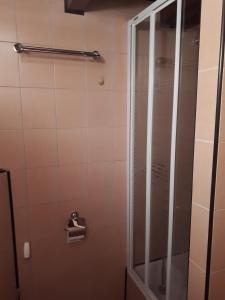 a shower with a glass door in a bathroom at Apartmán Bianka in Rabča