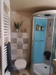 ein Bad mit einer Dusche und einem WC. in der Unterkunft Chez Stéphane et Patricia in Vertaizon
