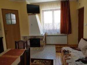 Apartament u Gombosów في يورغوف: غرفة معيشة فيها موقد وتلفزيون