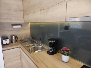 Kuchyňa alebo kuchynka v ubytovaní Vacation Home Bokan
