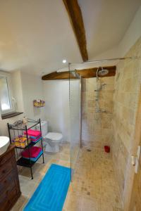W łazience znajduje się kabina prysznicowa i toaleta. w obiekcie La Frapperie w mieście La Pommeraie-sur-Sèvre