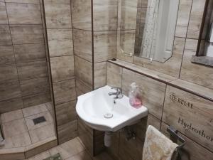 La salle de bains est pourvue d'un lavabo et d'un miroir. dans l'établissement Royal Court Apartman - HU registered IntStud Apartman, à Szekszárd
