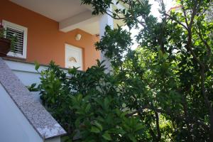 Zahrada ubytování Apartments Sandra