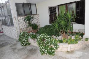 Zahrada ubytování Ljubica Comfortable Apartment