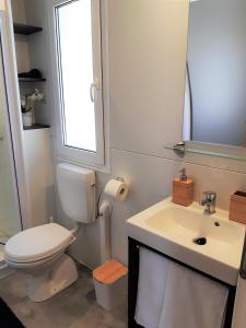 a bathroom with a toilet and a sink and a mirror at OTIUM mobile homes in Biograd na Moru