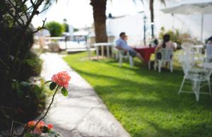 Fotografie z fotogalerie ubytování Hotel Los Aromos v destinaci Mina Clavero + 48 fotografií