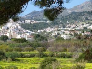 a view of a town in the mountains at Aperi View in Karpathos