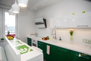 Kuchyňa alebo kuchynka v ubytovaní Royal Apartment in City Centre
