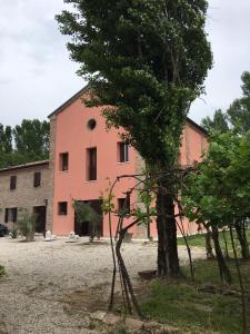 ein orangefarbenes Gebäude mit einem Baum davor in der Unterkunft Casa Madonna Boschi in Poggio Renatico