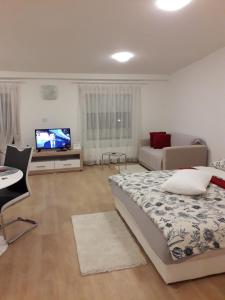 TV a/nebo společenská místnost v ubytování APARTMAN MMVG STUDIO Zagreb Airport