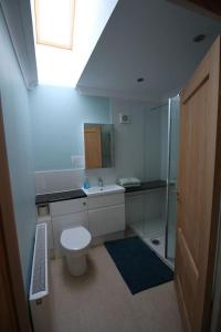 a bathroom with a toilet and a sink and a shower at 1bayhead Lingerbay in Rodel