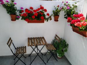Fotografia z galérie ubytovania Apartamento entero "El Casco Antiguo" VT-46811-V v destinácii Xàtiva
