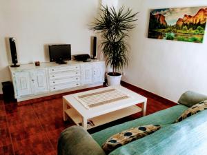 Televízia a/alebo spoločenská miestnosť v ubytovaní Apartamento entero "El Casco Antiguo" VT-46811-V