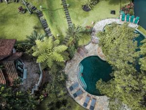 an overhead view of a swimming pool in a yard at Ijen Resort and Villas - The Hidden Paradise in Banyuwangi