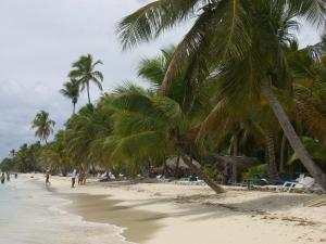 Gallery image of Hotel Bayahibe in Bayahibe