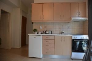 A kitchen or kitchenette at Myrto2 apartment