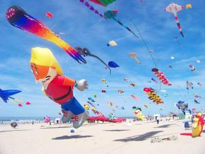 a bunch of kites flying in the sky on a beach at gîte Lemarocha in Groffliers +11 photos