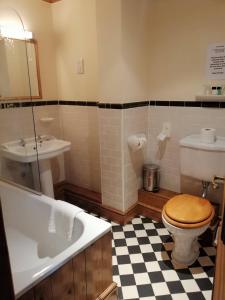 a bathroom with a toilet and a sink and a tub at The Vestry in Chichester