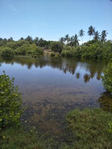 Paesaggio naturale nelle vicinanze dell'affittacamere