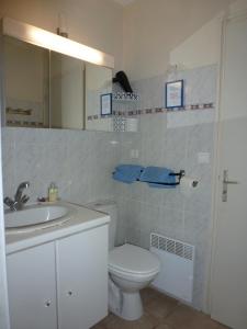 エロンにあるDomaine du Planas AILHON ARDECHEのバスルーム(洗面台、トイレ、鏡付)