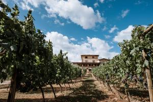 Piglio的住宿－Casale Verdeluna Wine Resort，相簿中的一張相片