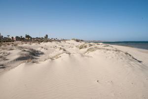 a group of people standing on a sandy beach at Shams Alam Beach Resort in Abū Ghuşūn