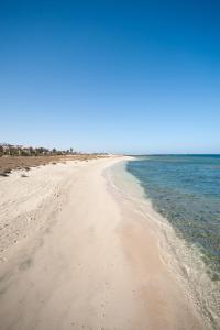 a sandy beach with the ocean in the background at Shams Alam Beach Resort in Abū Ghuşūn