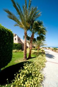 two palm trees and yellow flowers in front of a house at Shams Alam Beach Resort in Abū Ghuşūn