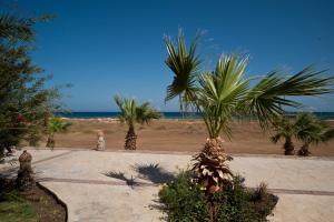 a beach with palm trees and the ocean at Shams Alam Beach Resort in Abū Ghuşūn