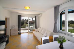 a living room with a couch and a television at Apartman Mendula in Premantura
