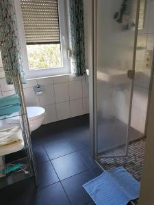 ein Bad mit einer Dusche und einem WC in der Unterkunft Ferienhaus Alte Straße in Bad Zwischenahn