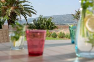 una mesa con una bebida en un vaso. en Holiday Village Kibbutz Mizra en Mizra‘