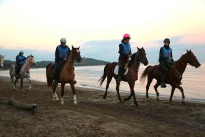 蓬塔阿拉的住宿－Punta Ala - Tra mare e natura，一群人在海滩上骑马