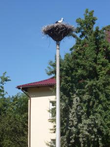 un nido de aves en la parte superior de un poste en Pid Lelekoyu - SUSPENDED, en Yaremche