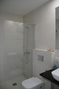 ein Bad mit einer Dusche, einem WC und einem Waschbecken in der Unterkunft Loft Cádiz in Cádiz