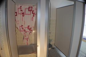 La salle de bains est pourvue d'un rideau de douche et de toilettes. dans l'établissement Burgbühl, à Sankt Antoni