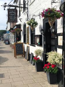 une rue avec des plantes et des panneaux sur le côté d'un bâtiment dans l'établissement Anglebury House, à Wareham