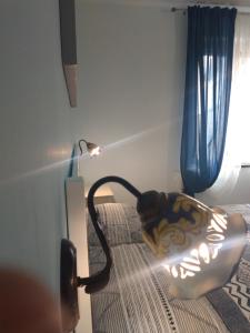 eine Katze auf einem Bett neben einem Fenster in der Unterkunft Confort By The Sea in Vico Equense