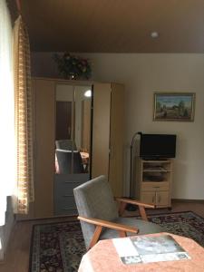 a living room with a chair and a television at Ferienwohnungen Eichenhof in Schneverdingen