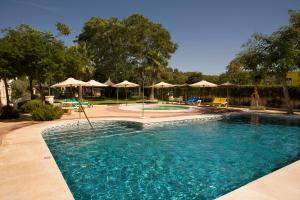 une grande piscine avec des chaises et des parasols dans l'établissement La Cueva Park, à Jerez de la Frontera