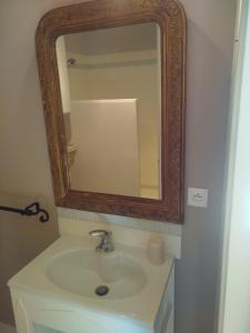 La salle de bains est pourvue d'un lavabo et d'un miroir. dans l'établissement La Charaudière, à Champtoceaux