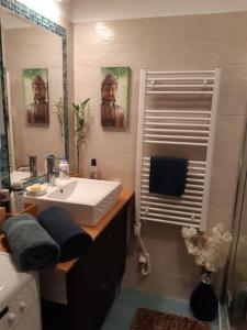 Un baño con lavabo, espejo y ducha. en Studio Karma, en Budapest 20 fotos más