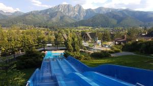 Polana Szymoszkowa Ski Resort - Chamerion Apartments في زاكوباني: مسبح في خلفية جبال